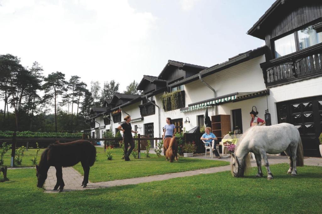 Landhotel Linden Am Venekotensee Niederkruechten Luaran gambar