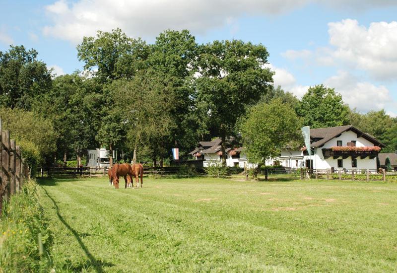 Landhotel Linden Am Venekotensee Niederkruechten Luaran gambar