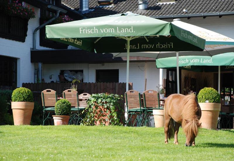 Landhotel Linden Am Venekotensee Niederkruechten Luaran gambar